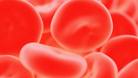 blood_cells_haematology_785x400px.jpg