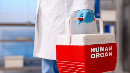 Doctor holding cool box for human organ in clinic, closeup_low res.jpg