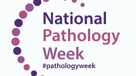 NPW Logo no year.jpg