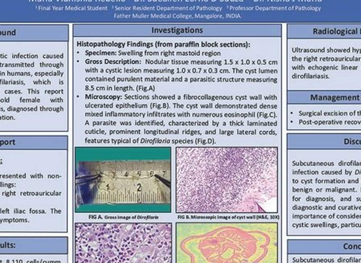 IPD2024 Poster winner