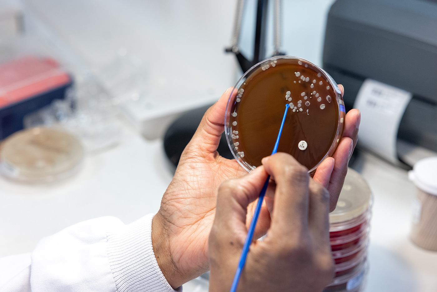 Petri dish sample for Kiestra machine in a microbiology lab