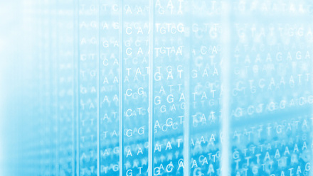 Genomics - Human DNA sequence