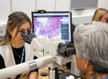 People looking down a multi-headed microscope with a slide on the screen