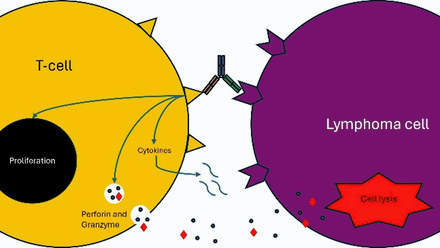 July 2024 Bulletin - Wendy Osborne figure 3.jpg