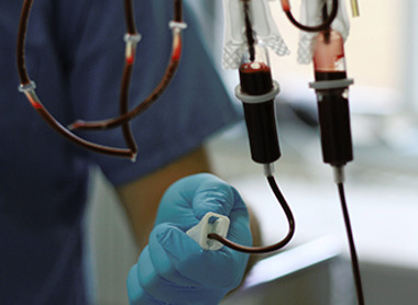 Photo for page 66_resized.jpg