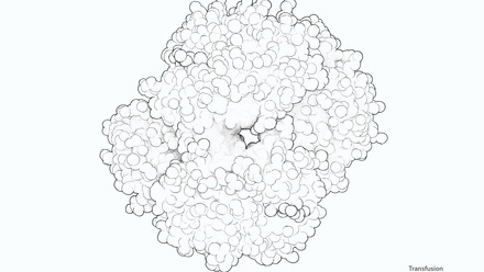 Incredible You_Transfusion: Haemoglobin