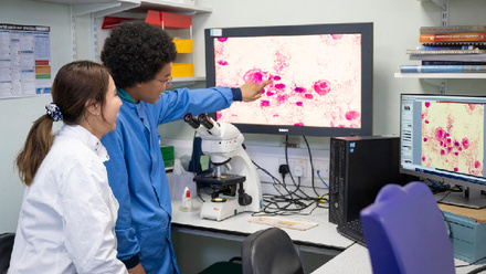 Students looking at vet path slide on a screen