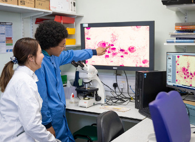 Students looking at vet path slide on a screen