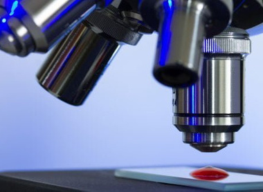 blood-microscope.jpg