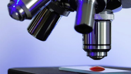 blood-microscope.jpg