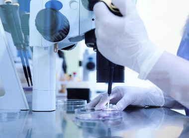 Egg fertilisation at a reproductive medicine clinic