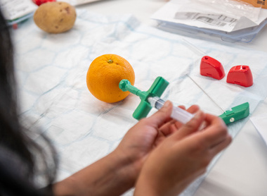 Practical learning at the Pathology Summer School 2024