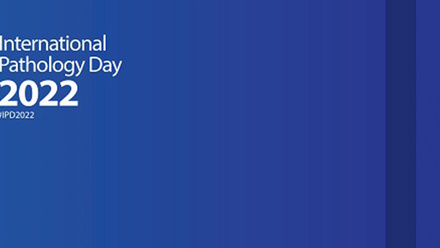 IPD web Banner 2022 copy.jpg 1