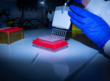 Pipetting image 7-North West Cancer Research Centre-11.2019.jpg 1