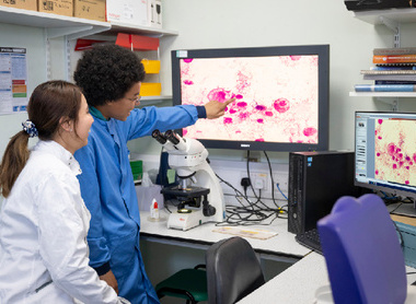 Students looking at vet path slide_digital pathology.jpg