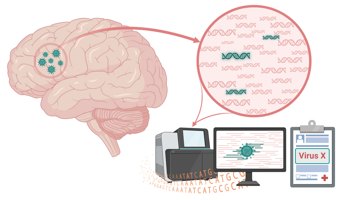 Jan 2025 Bulletin_William Tong_Figure 1.png
