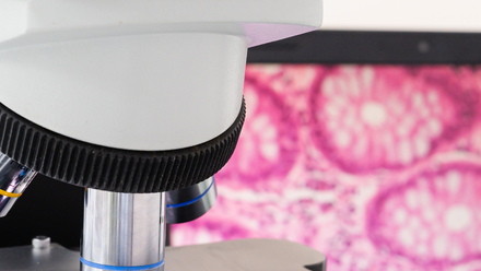 Digital pathology banner