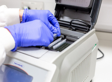 Person in purple glove loading vials into a machine at the North West Cancer Centre