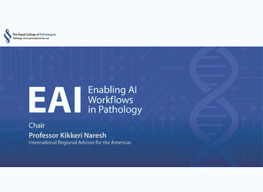 Introduction slide for the Enabling AI workflows in pathology webinar