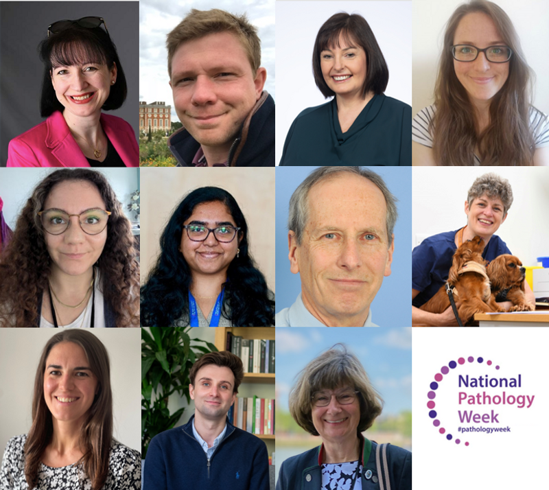 A collection of headshots of speakers for the College's NPW 2024 webinar Myths and misconceptions
