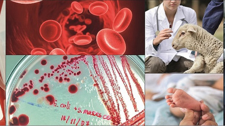 Bulletin Oct 2022 banner