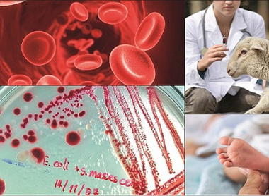 Bulletin Oct 2022 banner