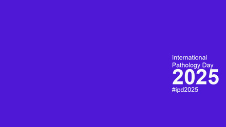 IPD-2025-bland-copy