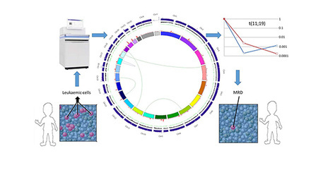 Figure 1: Application of whole genome sequencing in practice