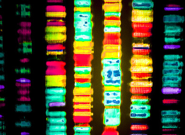 bullettin April 2021 banner.jpg