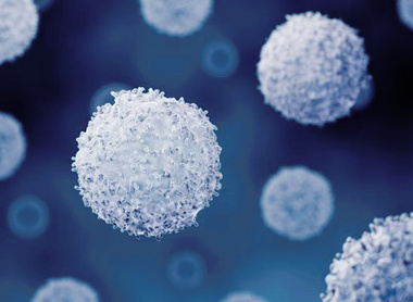 Lymphocytes (resized).jpg