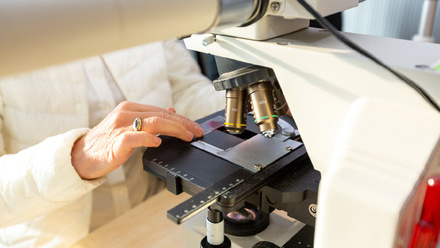 Professor Sarah Coupland working at the microscope