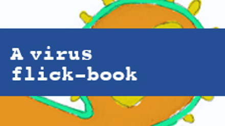 Virus And Vaccines - flick-book.jpg