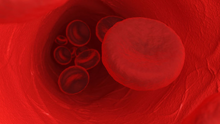 red_blood_cells_haematology_16185775_785x400px.jpg