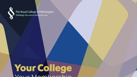 Your College Your Membership brochure thumbnail.jpeg