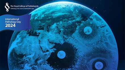 IPD2024 page banner.jpg