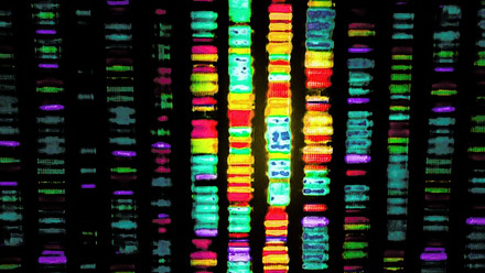 Genome sequencing_resize2.jpg