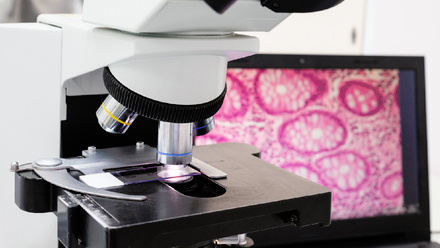 Microscope and slide with a computer screen behind