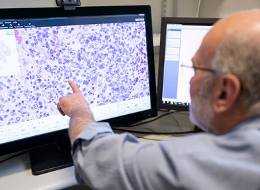 Consultant neuropathologist_slide image on screen.jpg