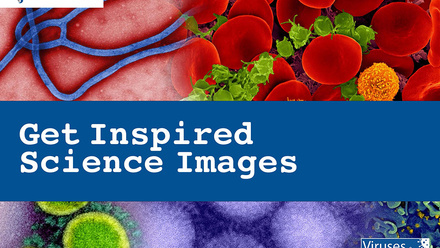 Get Inspired Science Images - cover page.jpg