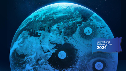 International Pathology Day 2024 webpage banner image