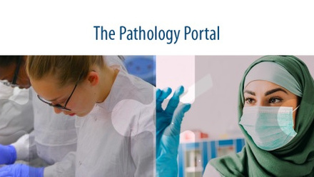 Pathology Portal logo banner resized