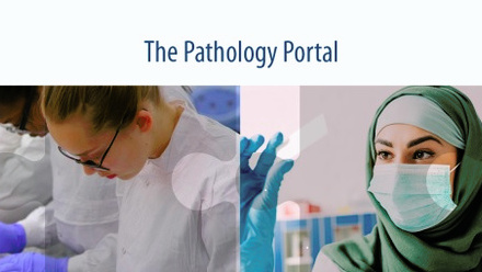Pathology Portal logo banner resized