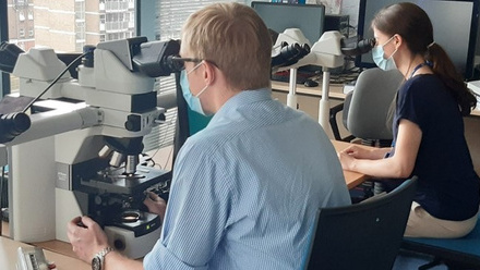 Dr Guy Hannah at a multi-header microscope reporting with a registrar
