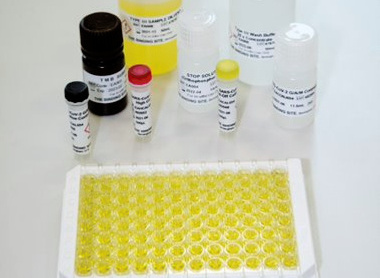 A high-sensitivity assay test to detect mild or asymptomatic COVID