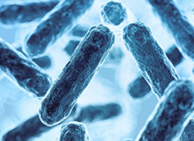 Image depicting bacteria
