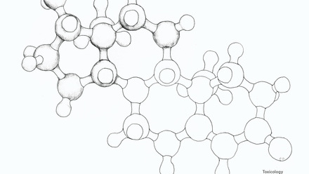 Incredible You_Toxicology: Testosterone (steroid hormone)
