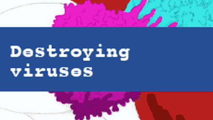 Destroying viruses cover image from the Viruses and Vaccines resource pack