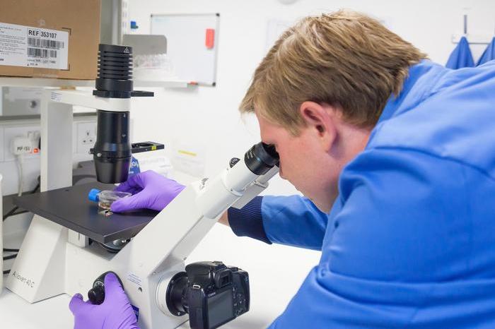 A pathologist in blue lab coat and purple gloves looking down a microscope at a specimen