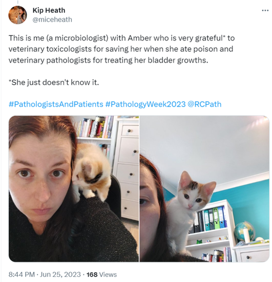 Kip Heath X post for NPW 2023