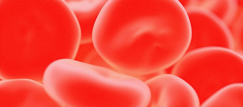 blood_cells_haematology_785x400px.jpg